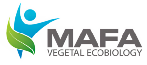 MAFA-BIG