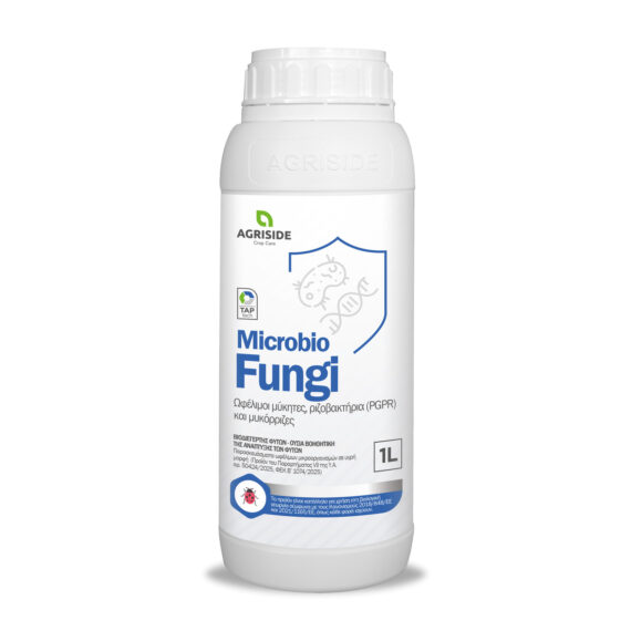 Microbio Fungi
