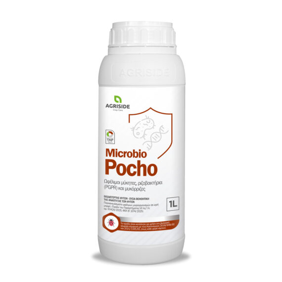 Microbio Pocho