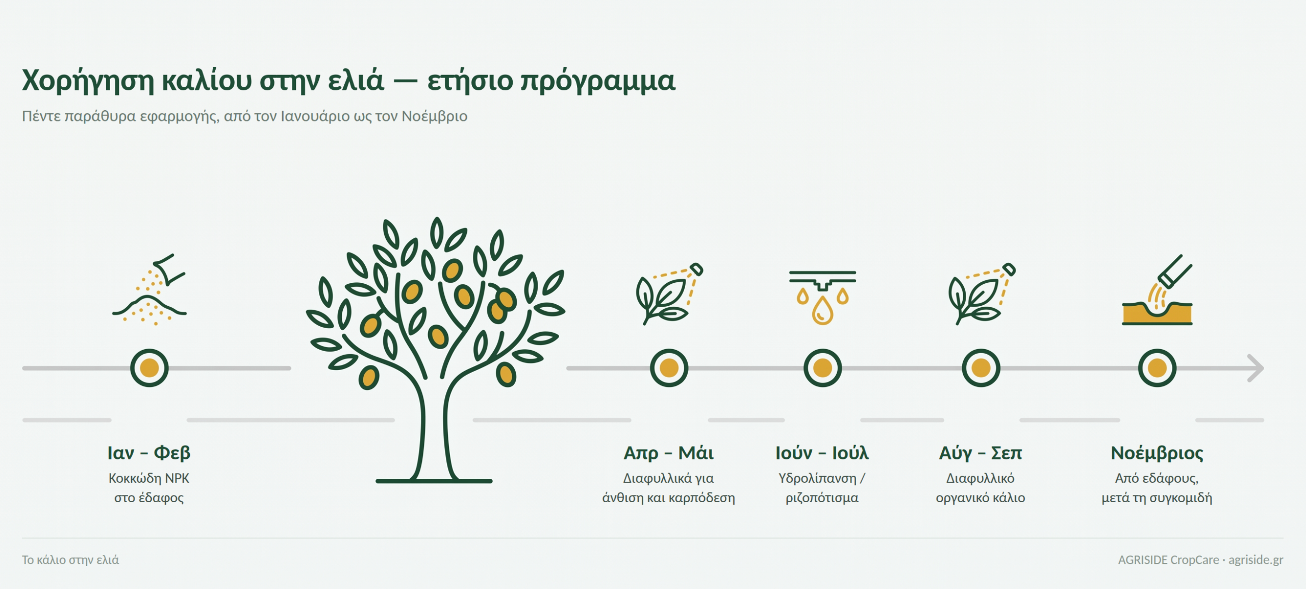 Χρονοδιάγραμμα εφαρμογών καλίου στην ελιά ανά μήνα