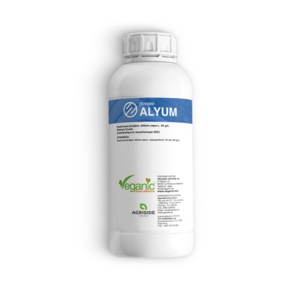 Alyum Pluvigea